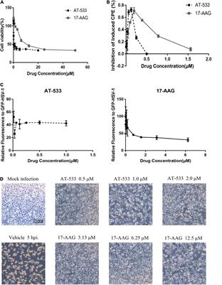 Hsp90 Inhibitors Prevent HSV-1 Replication by Directly Targeting UL42-Hsp90 Complex